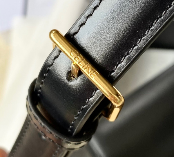 CELIN* CLASSIQUE TRIOMPHE BAG